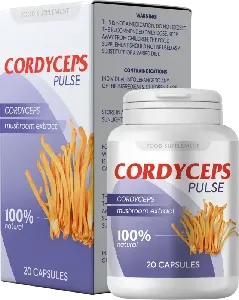 Cordyceps pulse Lungs