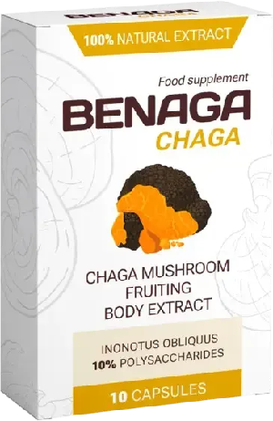 Benaga Chaga Memory
