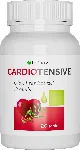 Cardiotensive