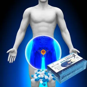 Xenoprost Active #3