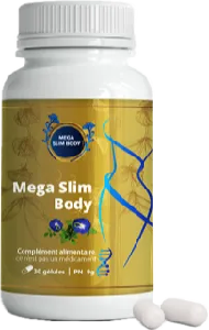 Mega Slim Body
