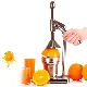 Hand Juicer