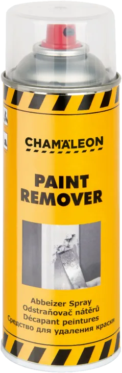 Paint Remover