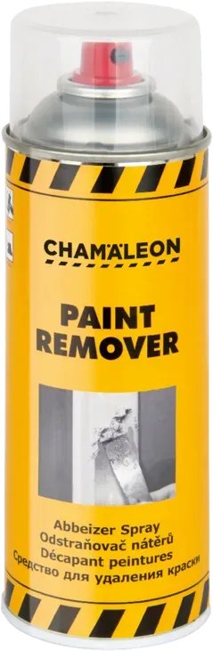Paint Remover
