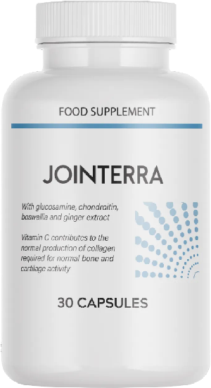 Jointerra