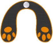 Trainer California Body