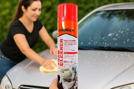 Dry car cleaner #1