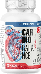 CardioBalance