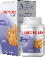 Cordyceps Pulse Digestion