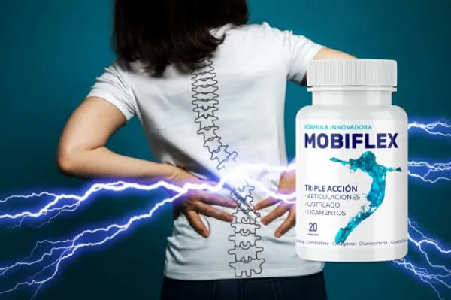 Mobiflex #1