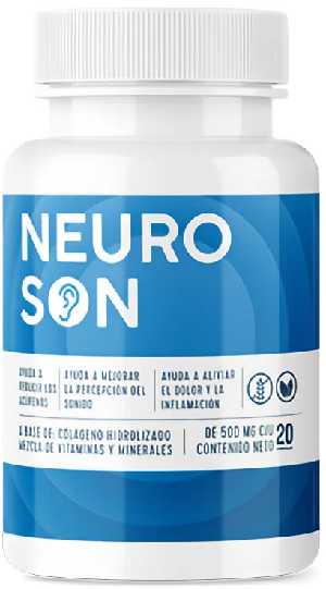 Neuroson